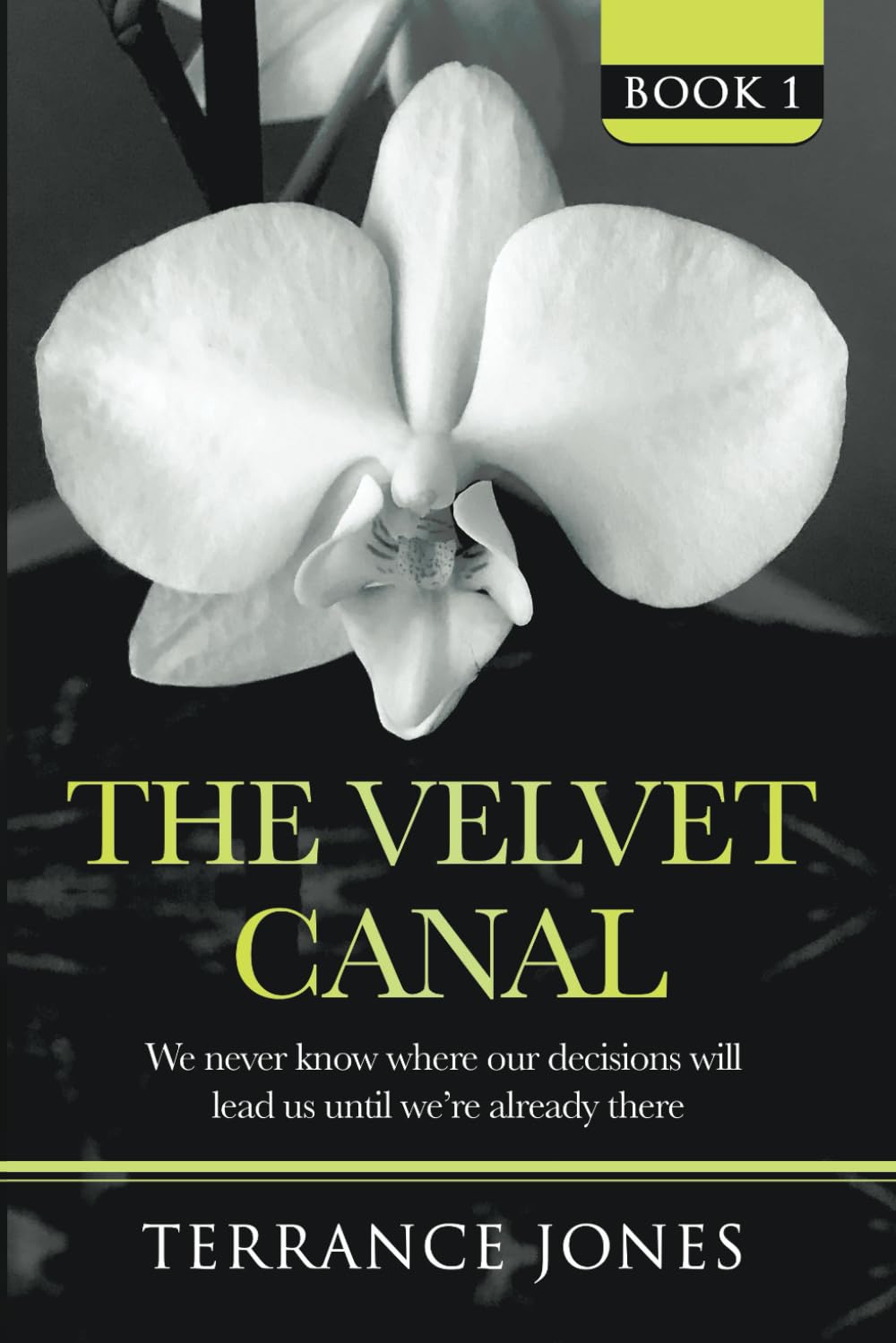 The Velvet Canal: We never know where our decisions will lead us until we're already there